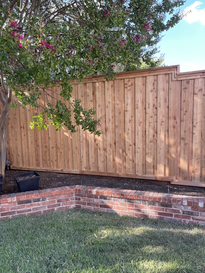 Cedar fence with a stepped top cap in evening light, crepe myrtle and a brick border at its base