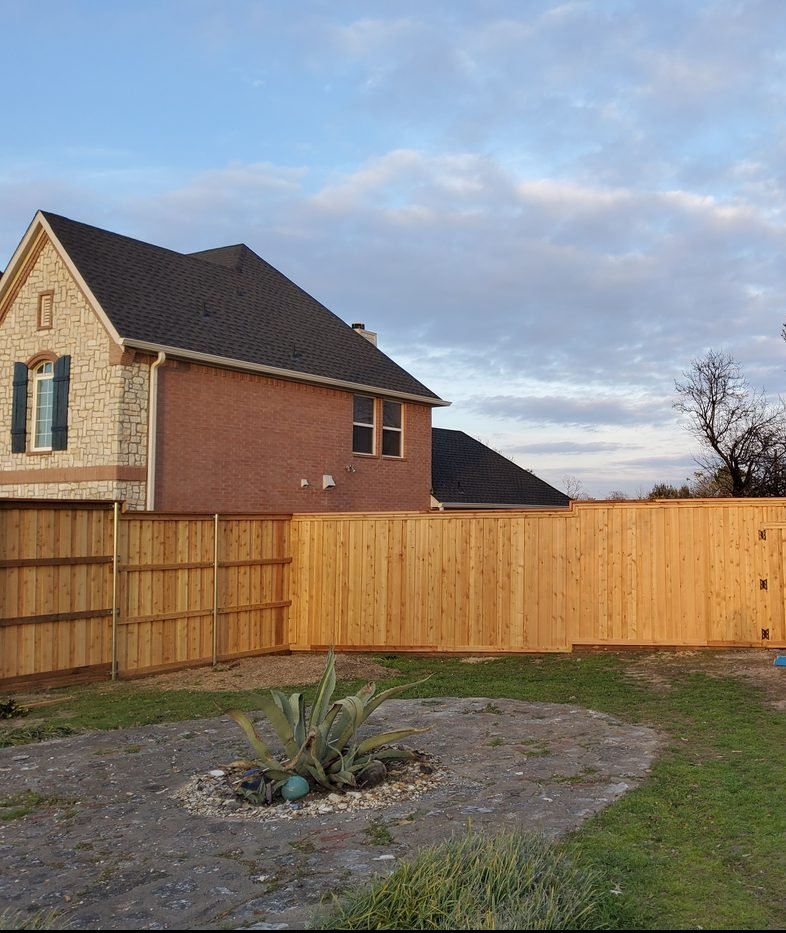 A Future Fence cedar fence line in golden evening light, North Dallas